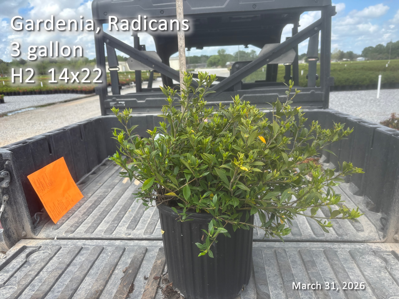 gallery/grad3 h2 mar31.jpg